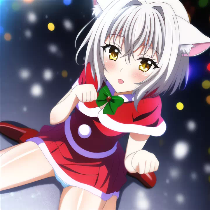 クリスマス小猫(Christmas Koneko)