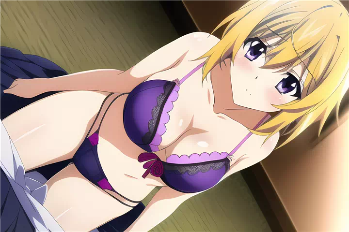 着物で下着と褌シャルロット( charlotte dunois)