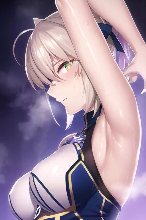 Artoria Pendragon ／ Alter 2.