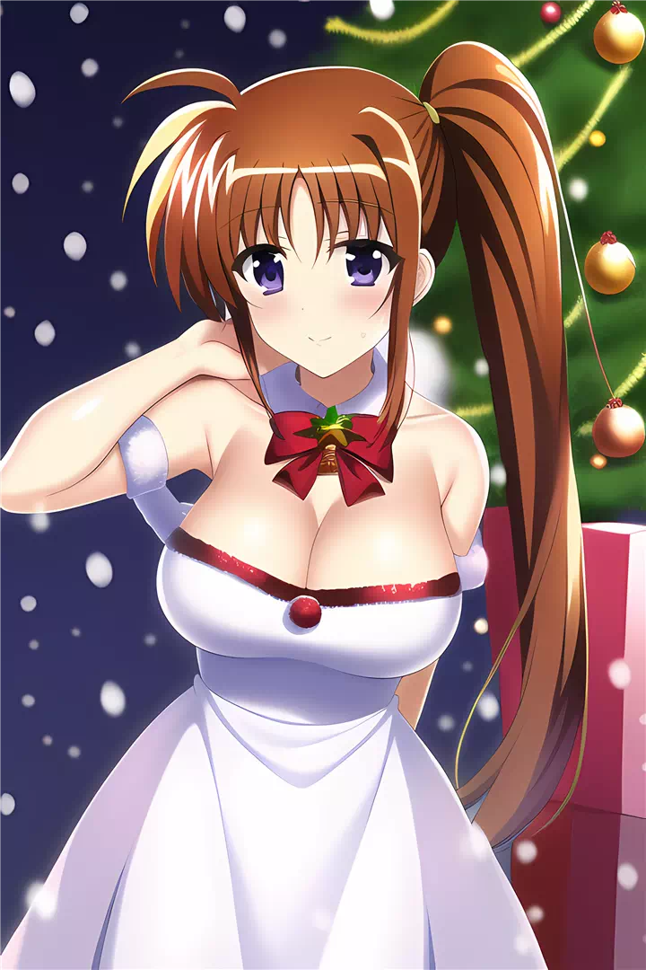 クリスマス高町なのは(Christmas Nanoha)