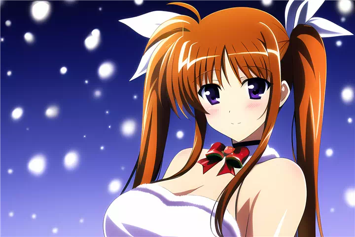 クリスマス高町なのは(Christmas Nanoha)