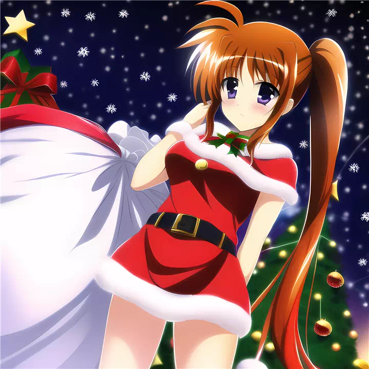 クリスマス高町なのは(Christmas Nanoha)