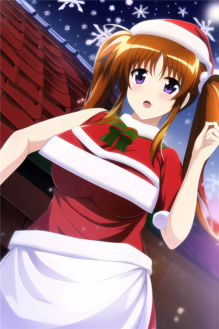 クリスマス高町なのは(Christmas Nanoha)