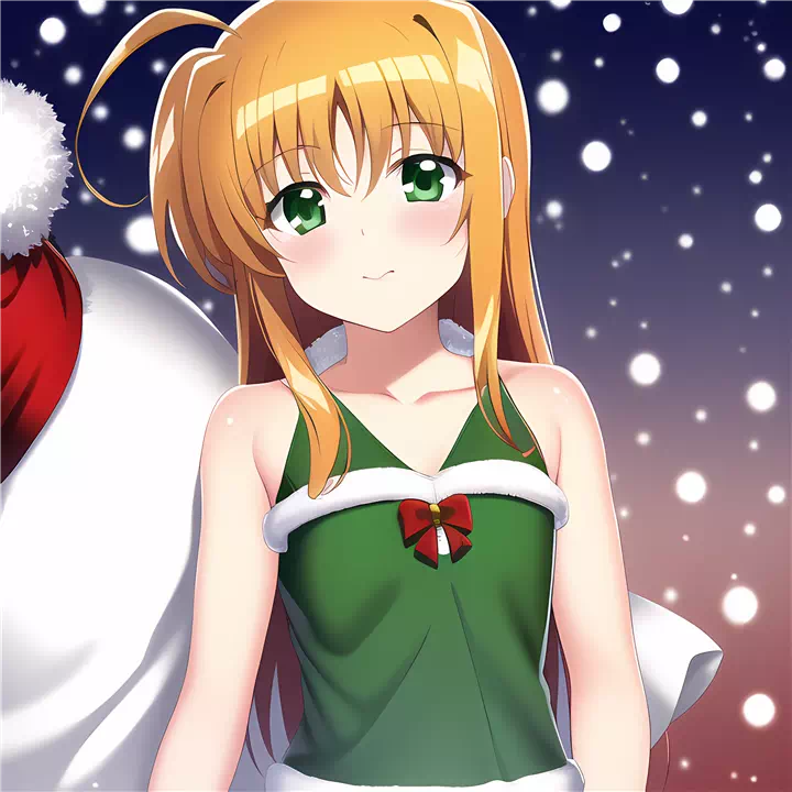 クリスマスアリサ(Christmas arisa)