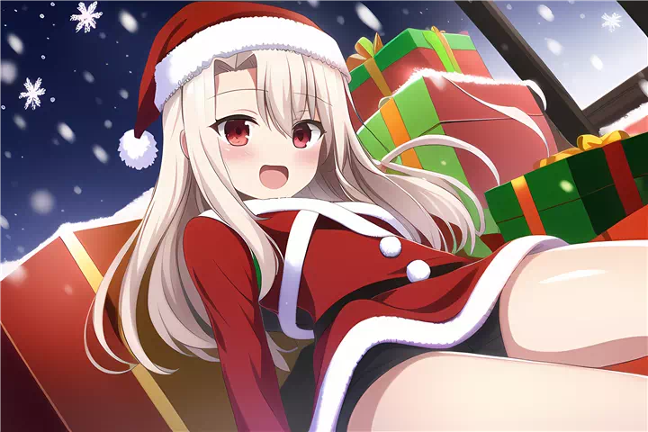 クリスマスイリヤ(Christmas Illyasviel)