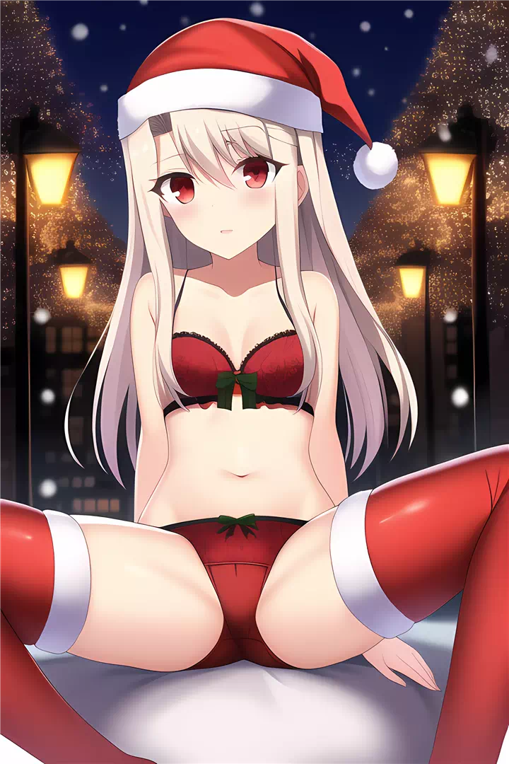 クリスマスイリヤ(Christmas Illyasviel)