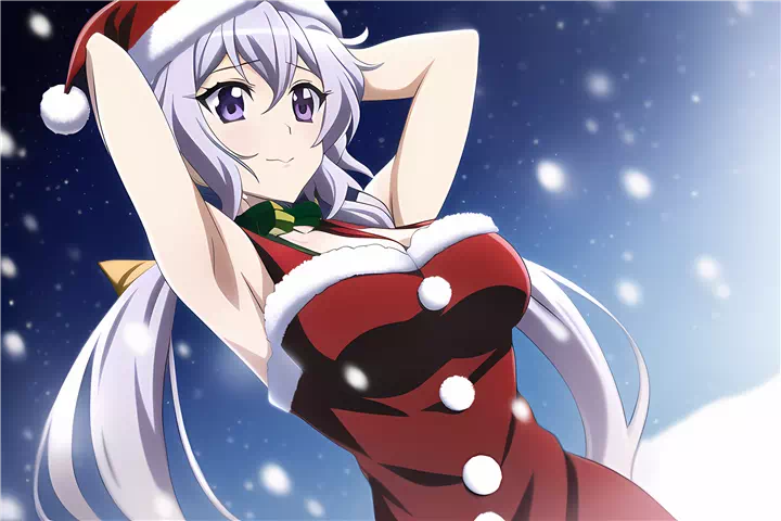 クリスマスクリス(Christmas yukine chris)