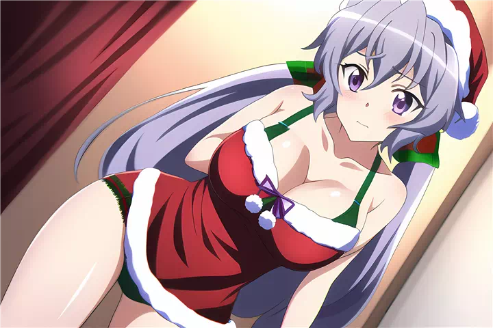 クリスマスクリス(Christmas yukine chris)