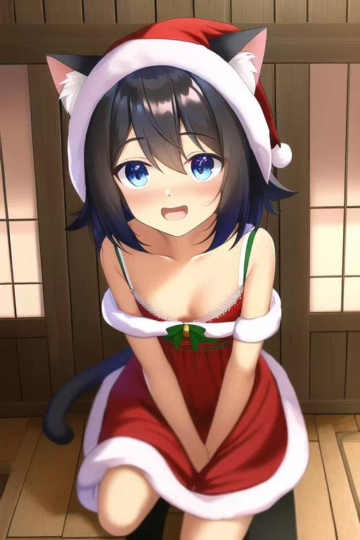 Christmas Fran