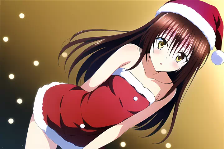 クリスマス美柑(Christmas mikan)