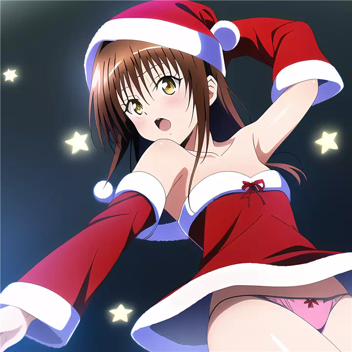 クリスマス美柑(Christmas mikan)