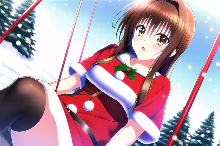 クリスマス美柑(Christmas mikan)