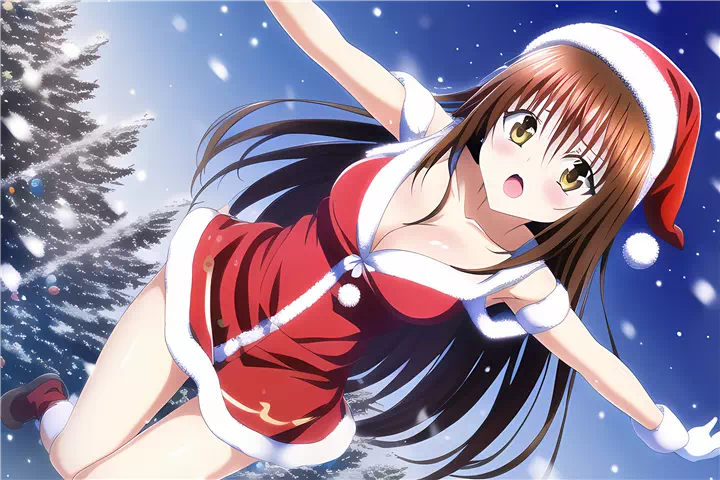 クリスマス美柑(Christmas mikan)