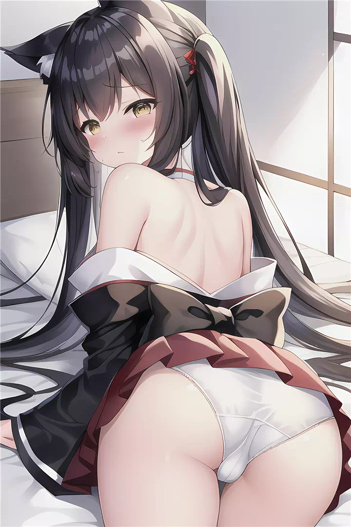 アズールレーン 長門 47